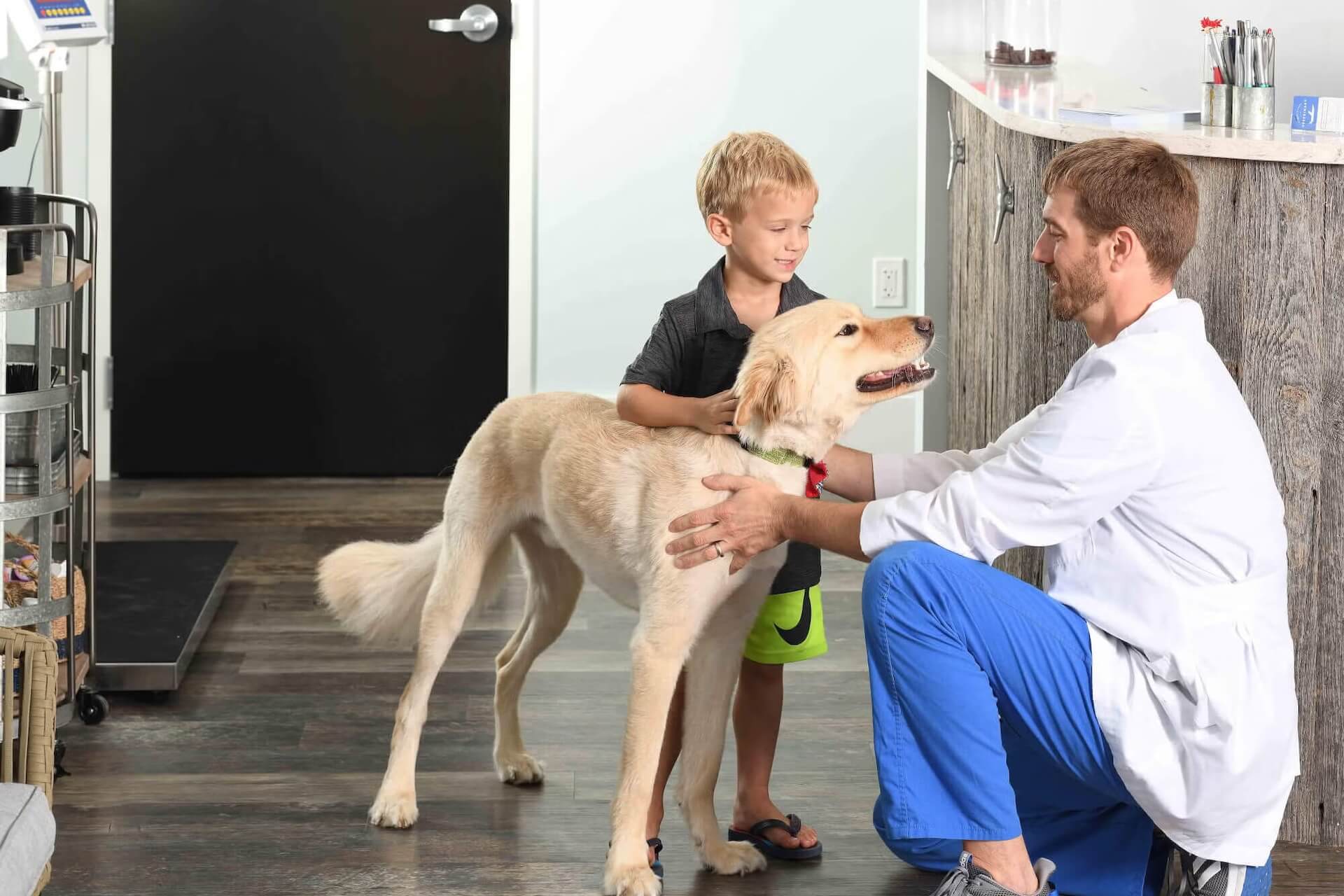 animal hospital In Charleston, SC 