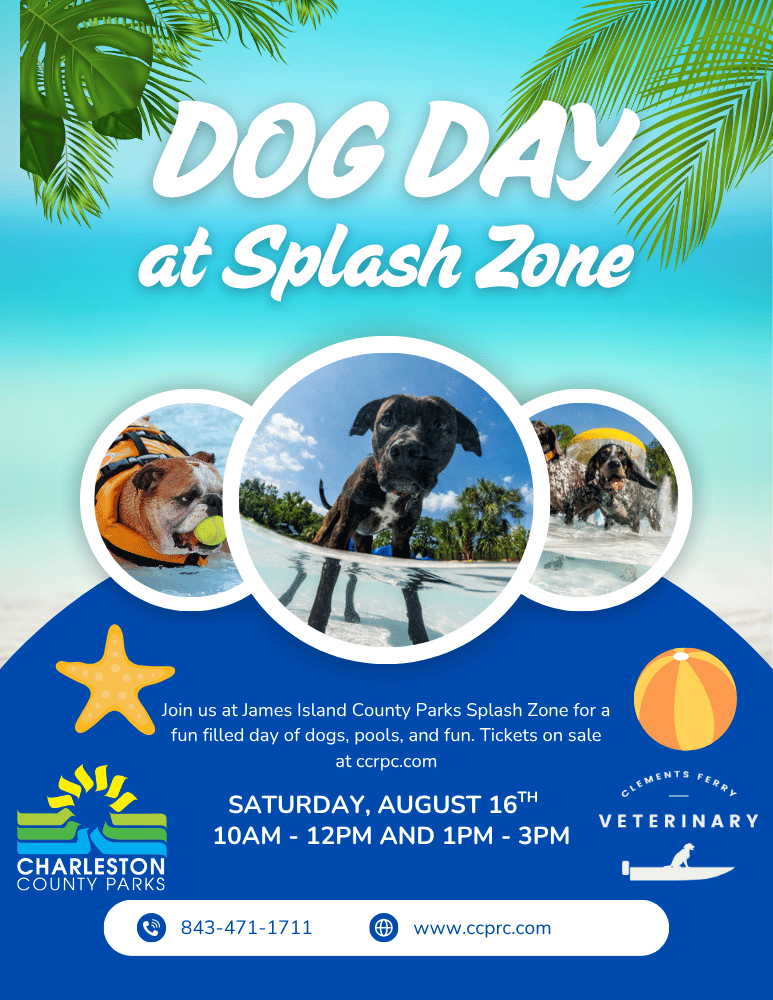 Dog Day 2025