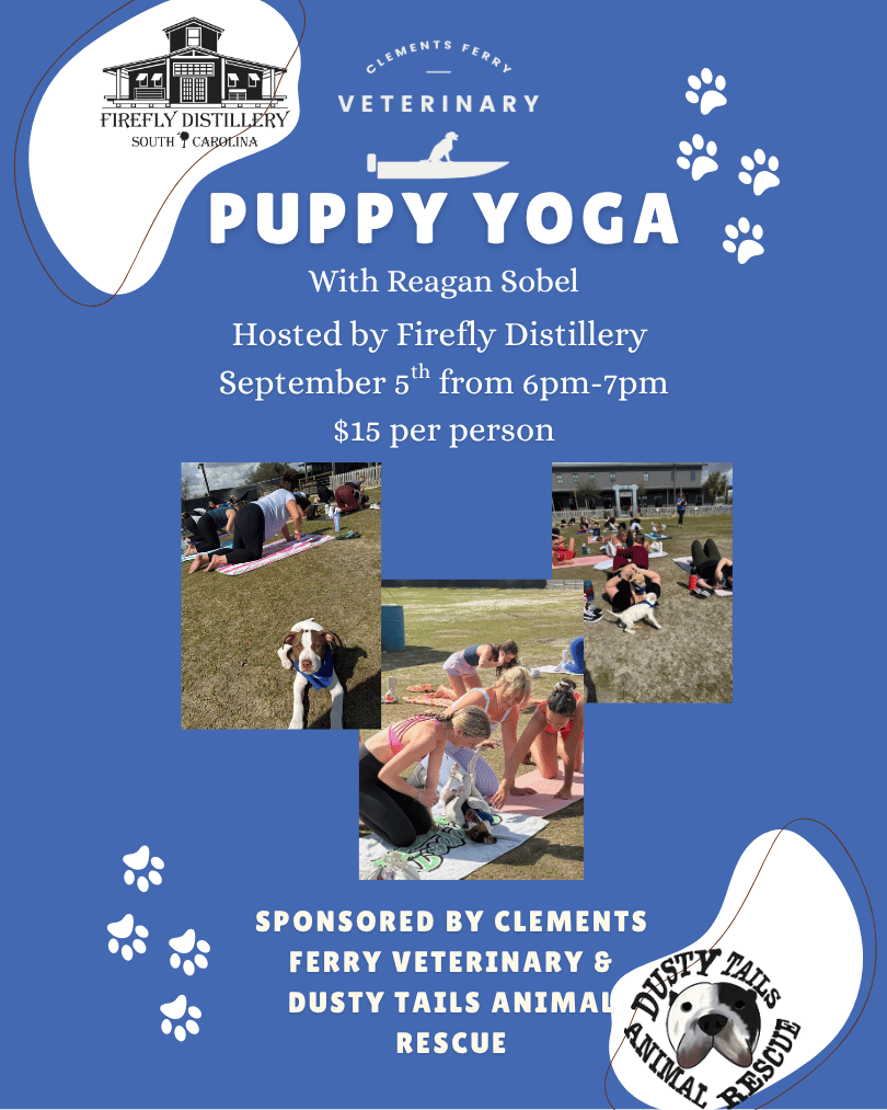 Puppy Yoga 2025