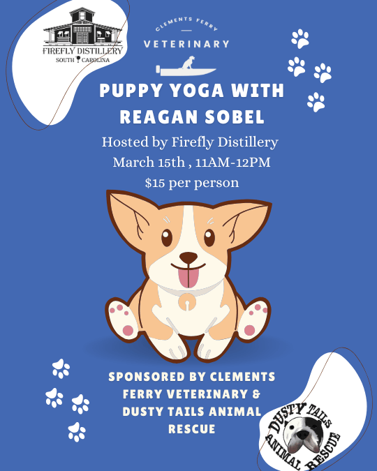 Puppy Yoga March 2025
