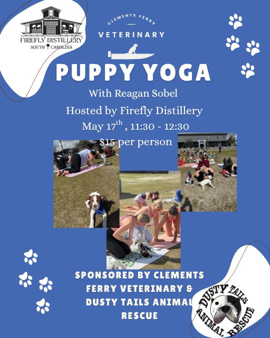 Puppy Yoga May