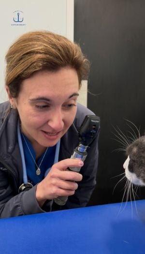 Dr. James Eye Exam Dr. James Eye Exam