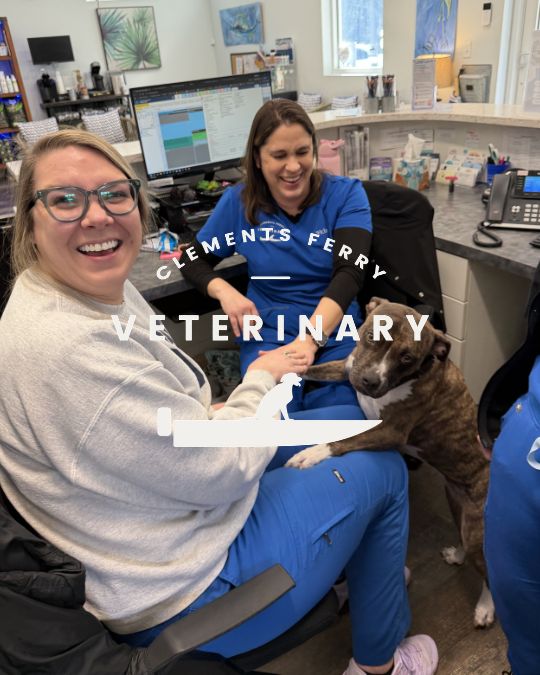 We are hiring Hiring