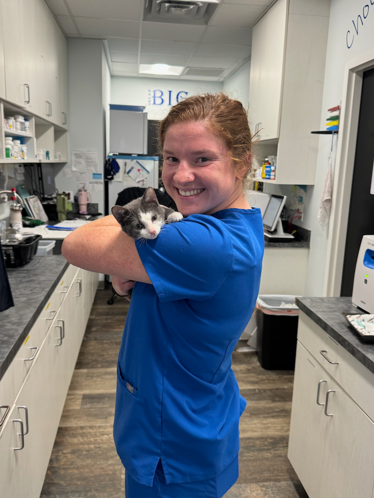 clementsferrycatservices