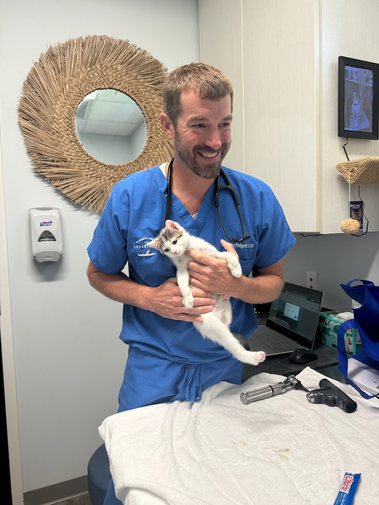 clementsferrycatservices2